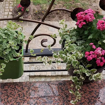 Ferienwohnung La Brigitte Hennigsdorf Zimmer foto